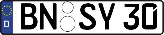 BN-SY30