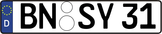 BN-SY31