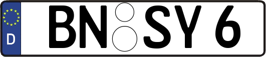 BN-SY6