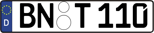 BN-T110