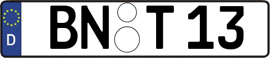 BN-T13