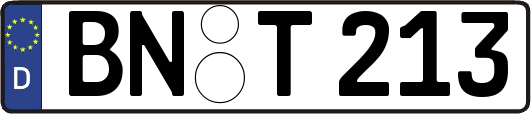 BN-T213