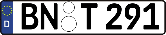 BN-T291
