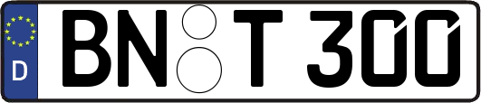 BN-T300
