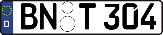 BN-T304