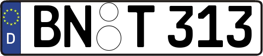 BN-T313