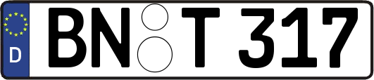 BN-T317