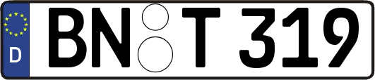 BN-T319