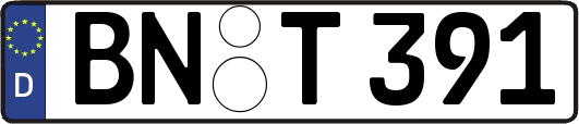 BN-T391