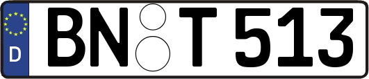 BN-T513