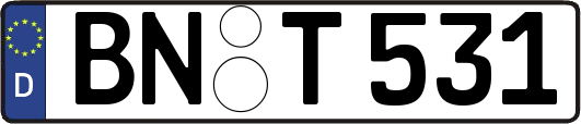 BN-T531