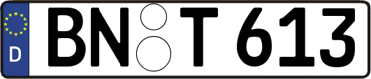 BN-T613