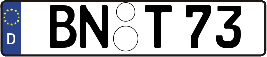 BN-T73