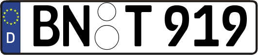 BN-T919