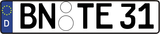 BN-TE31
