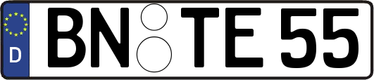 BN-TE55