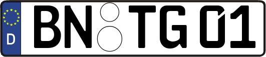 BN-TG01