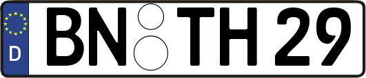 BN-TH29