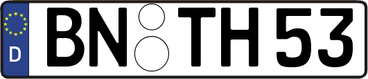 BN-TH53