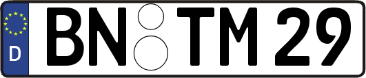 BN-TM29