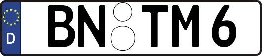 BN-TM6
