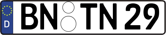 BN-TN29