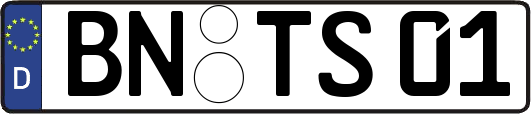 BN-TS01