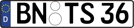 BN-TS36
