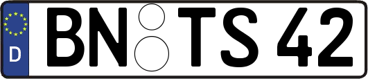 BN-TS42