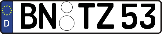 BN-TZ53