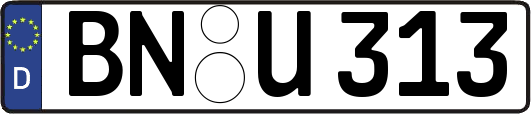 BN-U313