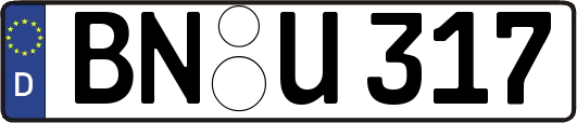 BN-U317