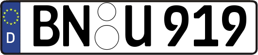 BN-U919