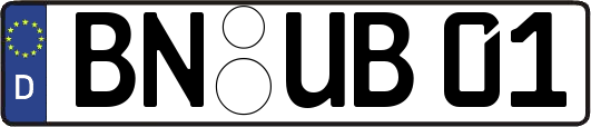 BN-UB01