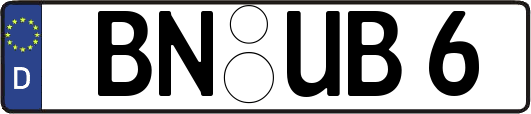 BN-UB6