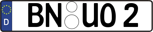 BN-UO2