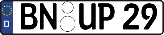 BN-UP29