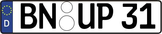 BN-UP31
