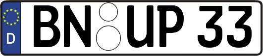 BN-UP33