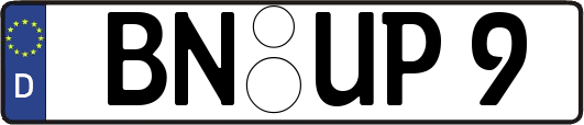 BN-UP9