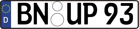 BN-UP93