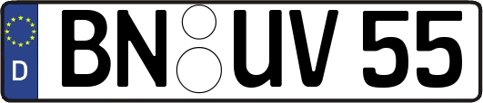 BN-UV55