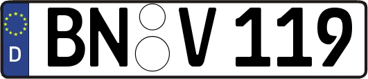 BN-V119