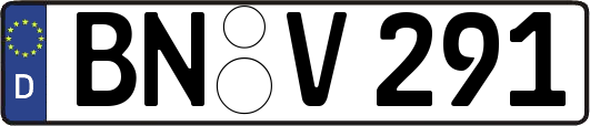 BN-V291