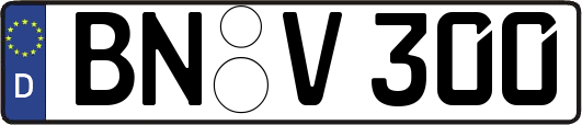BN-V300