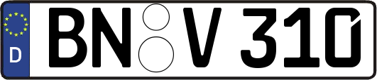 BN-V310