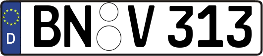 BN-V313