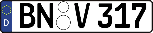 BN-V317