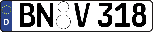 BN-V318
