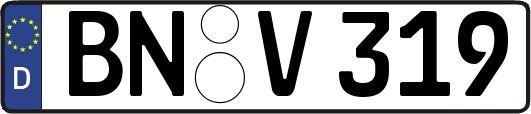 BN-V319